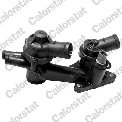 Thermostat, coolant